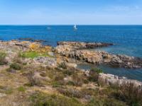 Felsküste mit spärlicher Vegetation, Grasinseln und Felsfinger im Meer - Hammerknuden